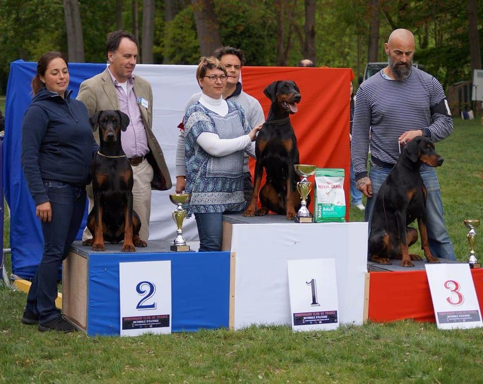 De Chardmethée - Excellents résultats en Exposition 