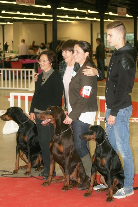 De Chardmethée - Paris Dog Show 