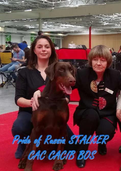 De Chardmethée - Top début d'année au Paris Dog show